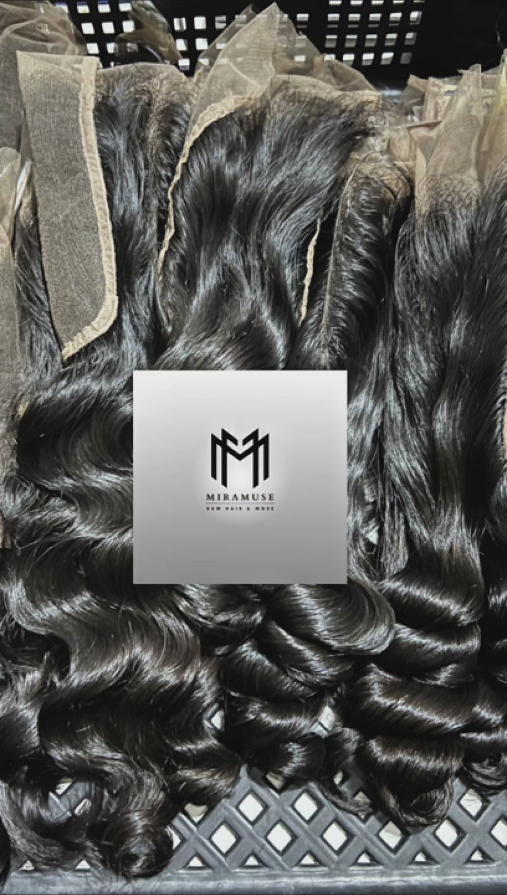 13x6 MUSE HD FRONTALS